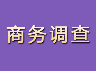 碌曲商务调查